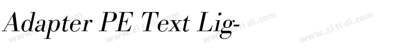 Adapter PE Text Lig字体转换